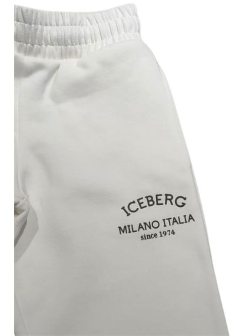  ICEBERG | PFICE5316J APA